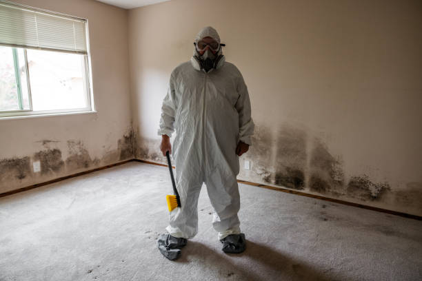 Best Industrial Mold Remediation in Wilmer, TX